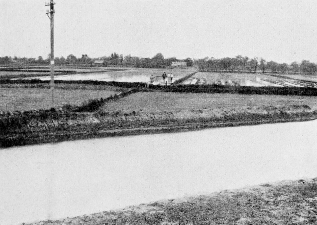 1931 China floods